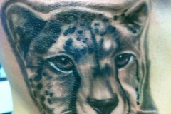 screen-shot-2011-07-28-at-10-00-42